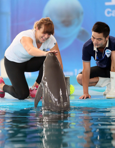 显示了全队 显示了全队