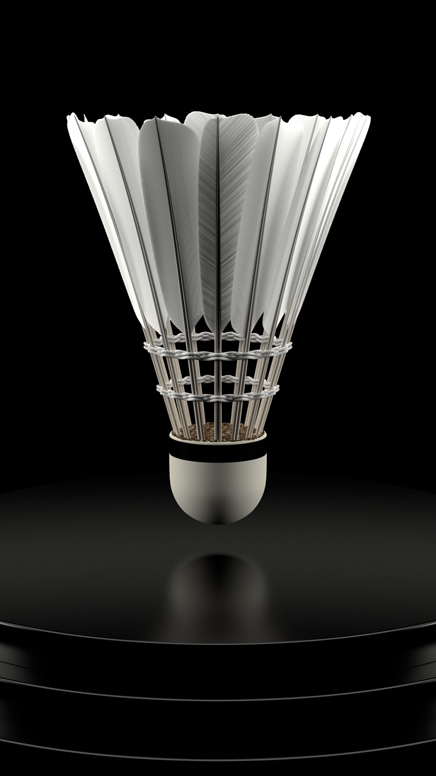 足球场上的 足球场上的